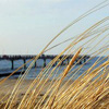 Drei Inselbäder laden zum Bade: Verbringen Sie einen herrlichen Ostsee-Urlaub auf Usedom